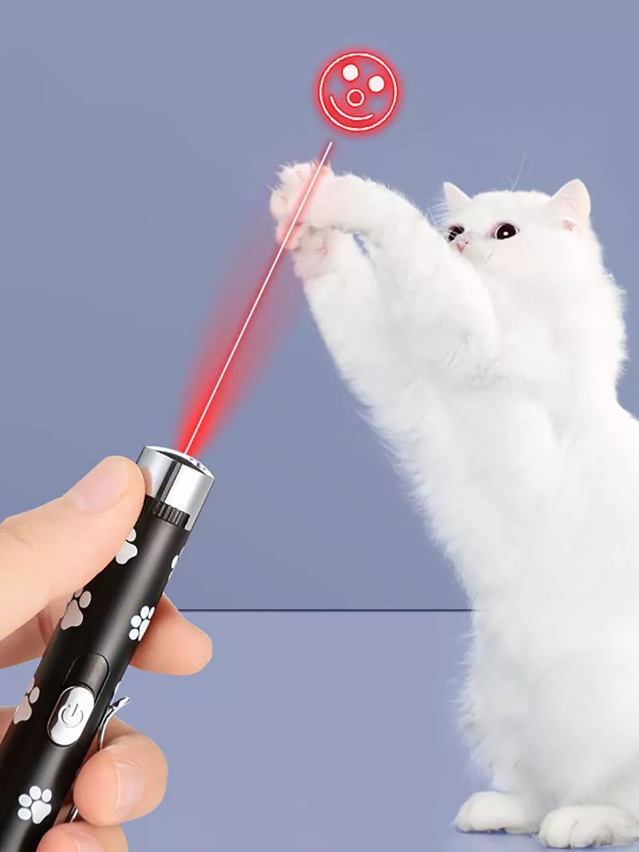 — изображение 2