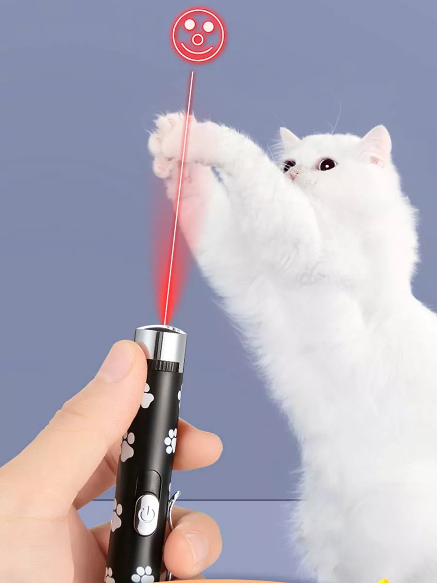 — изображение 4